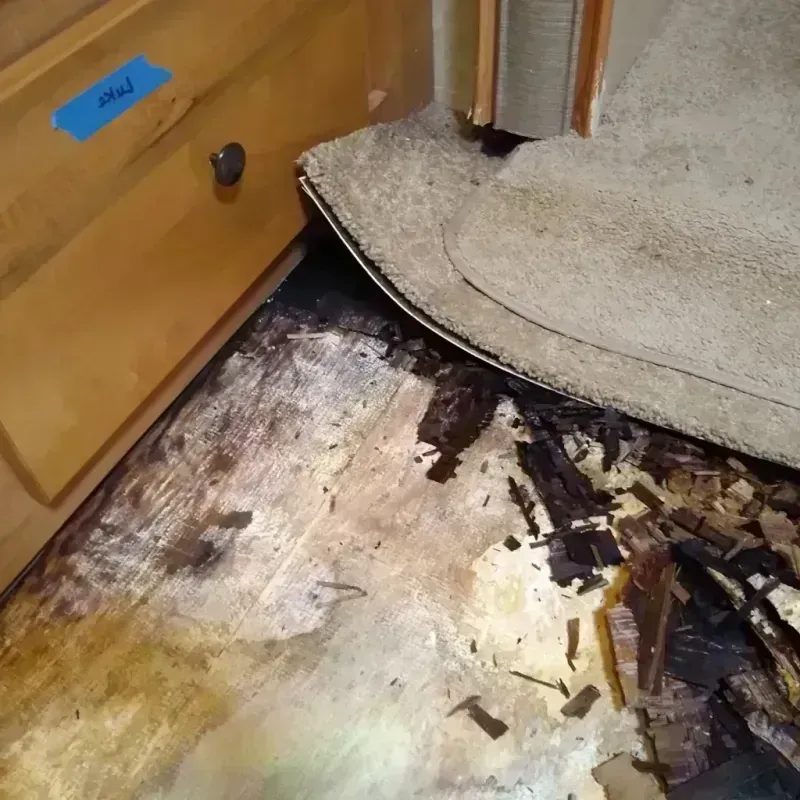 Wood Floor Water Damage in Elko County, NV